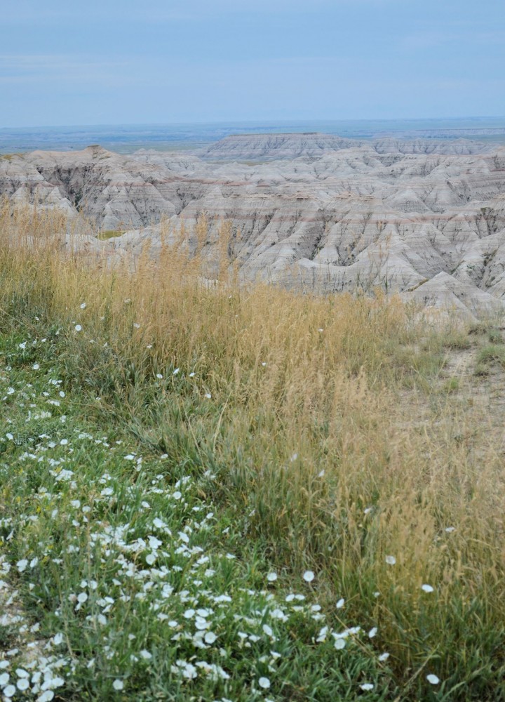 Badlands National Park